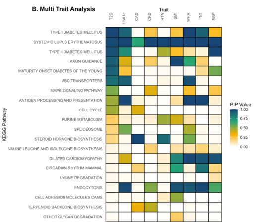 KEGG Pathway Associations