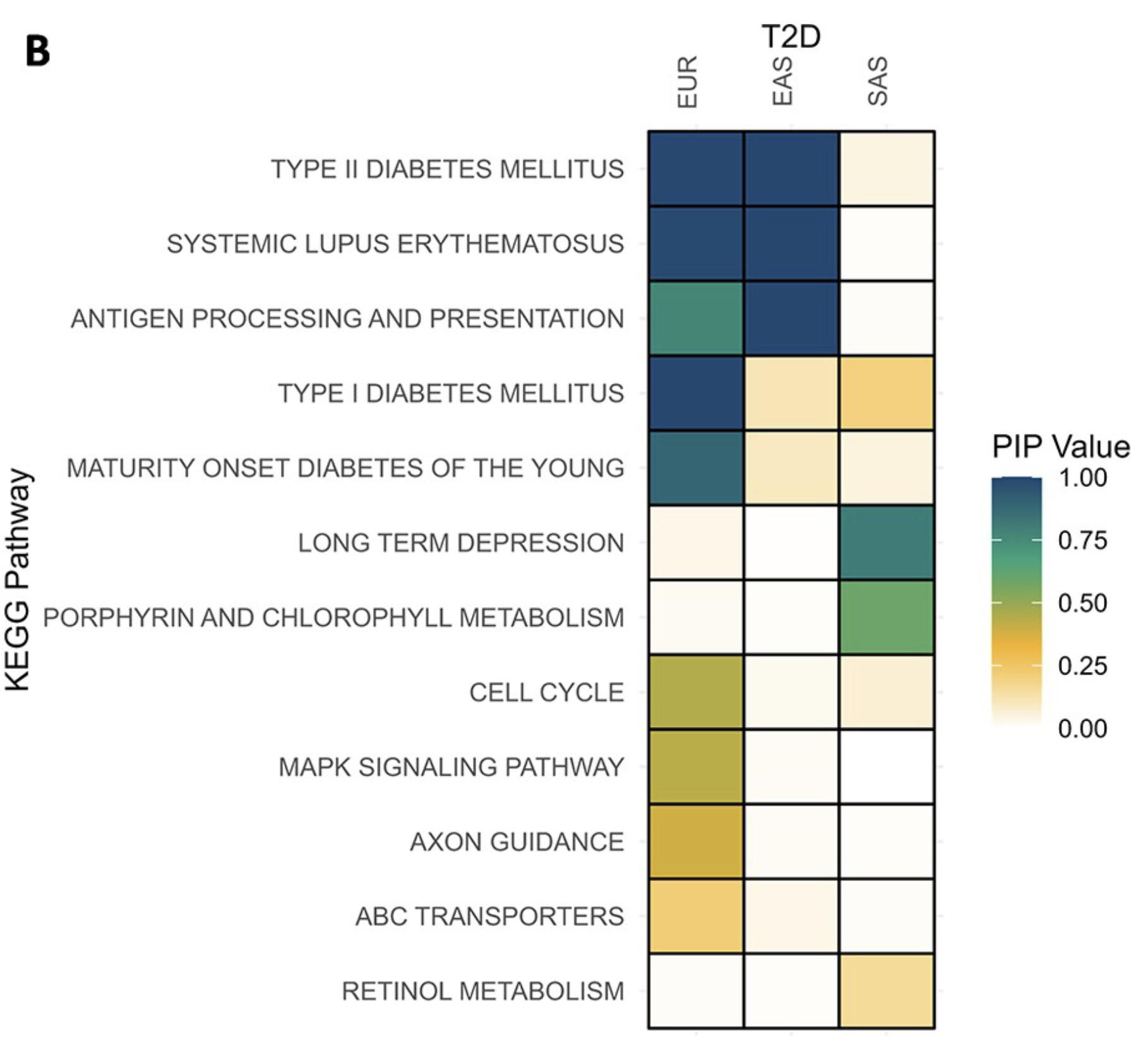 Cross-Ancestry Pathway Associations