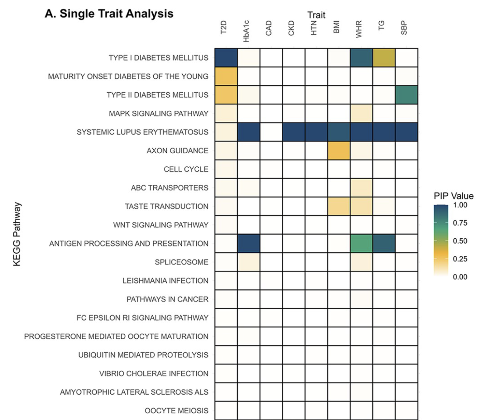KEGG Pathway Associations