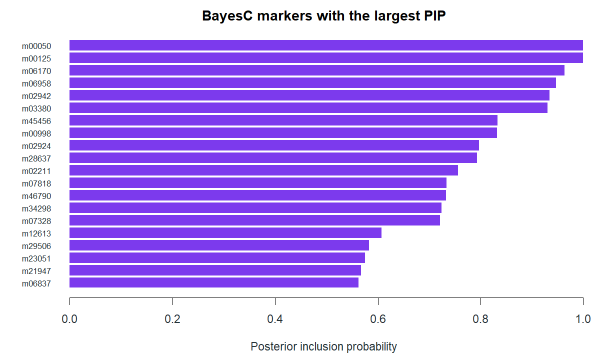 Horizontal bars show posterior inclusion probabilities of the 20 top-ranked markers in the simulated trait A BayesC fit.