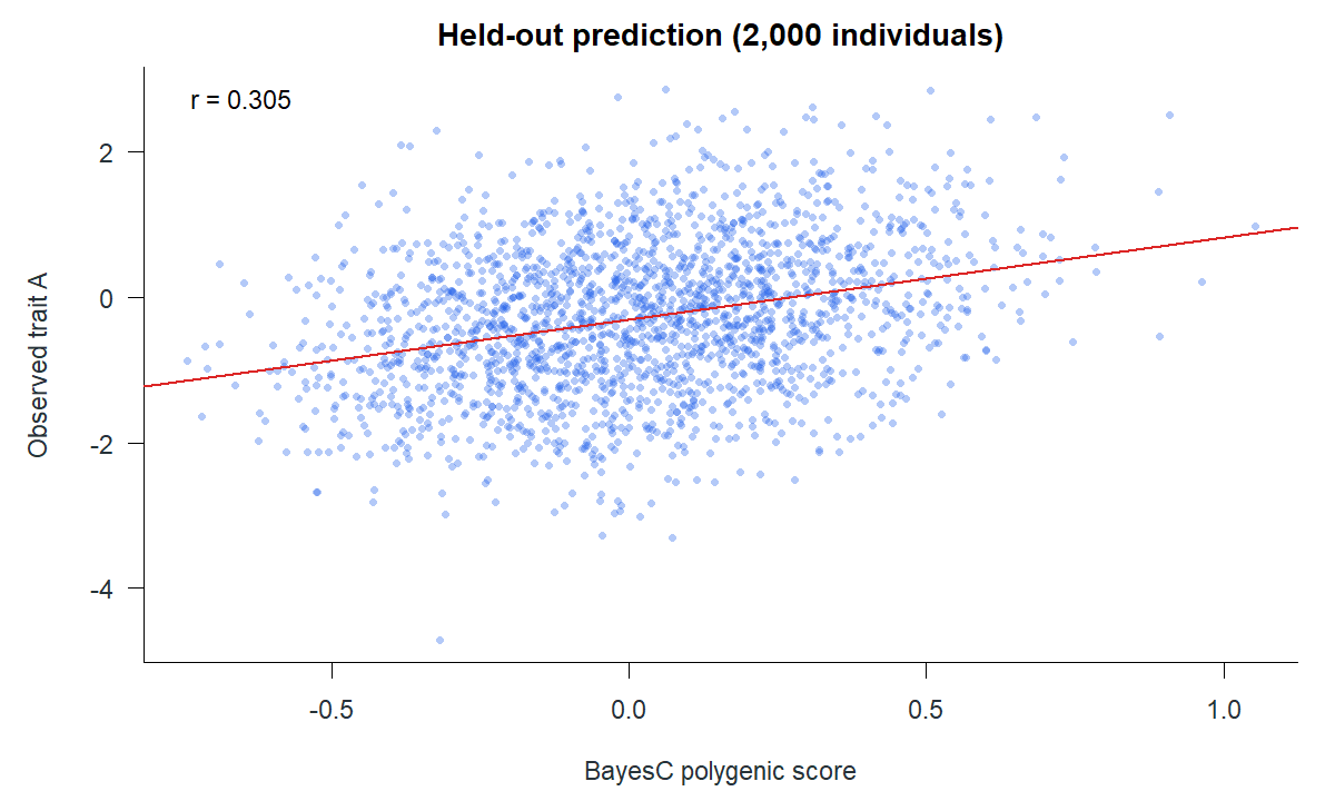 Scatter plot of the trait A BayesC score and observed trait A in 2,000 held-out people; the sample correlation is 0.305.
